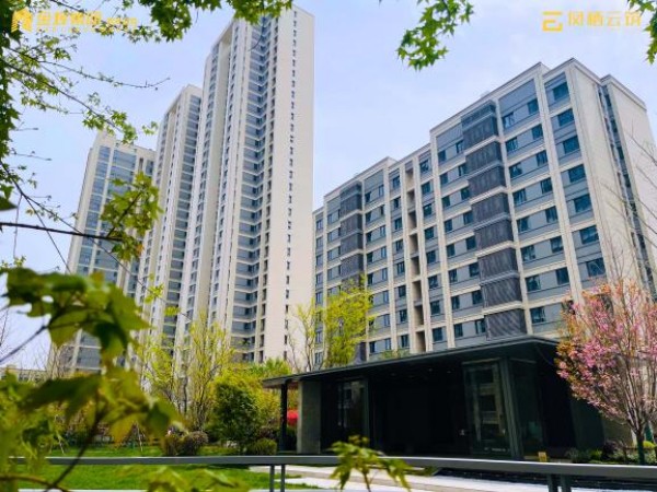 1689908169913279.jpg 圖片 14.JPG