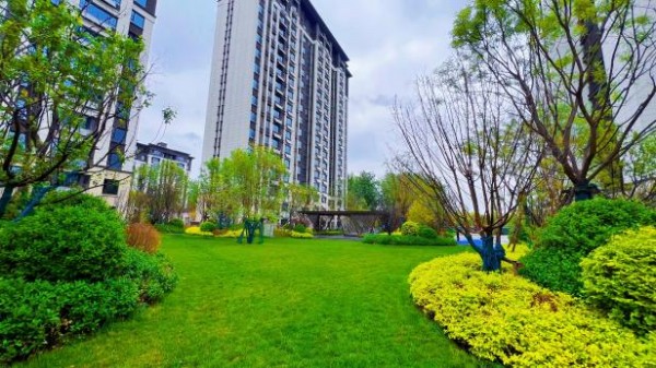 1689908260991138.jpg 圖片 25.JPG