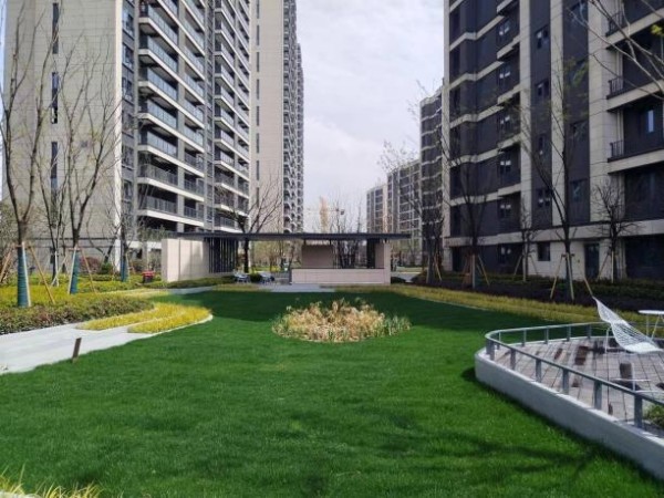 1689908448549979.jpg 圖片 43.JPG